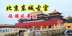 欧美羞羞大片中国北京-东城古宫旅游风景区